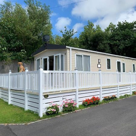 Mollys Retreat Pet Friendly Three Bed Caravan With Small Garden Newquay Bay Resort Quieter Area Of Park Εξωτερικό φωτογραφία